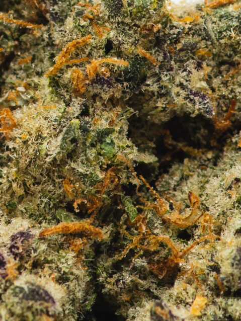 Stripper Spit (AAAA) - Indica Dominant Hybrid