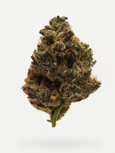 Unicorn Meat #5 (AAA) – Balanced Hybrid