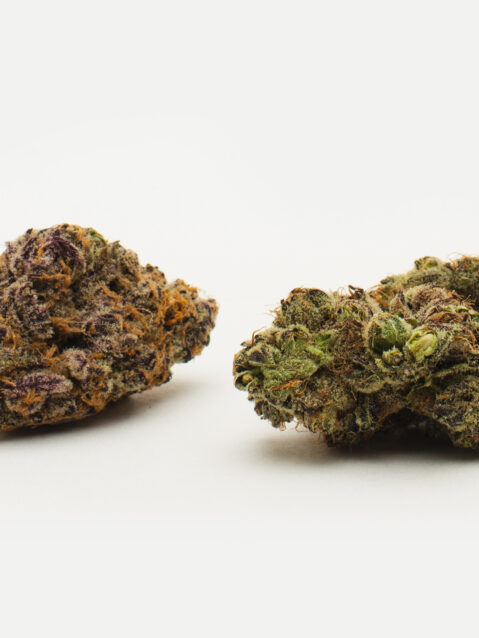 Unicorn Meat #5 (AAA) – Balanced Hybrid