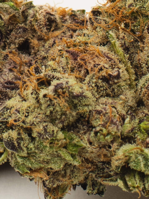 Unicorn Meat #5 (AAA) – Balanced Hybrid