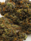 Oreo Blizzard (AAAA) – Balanced Hybrid