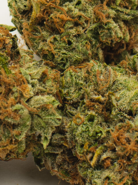 I-95 (AAA) – Balanced Hybrid