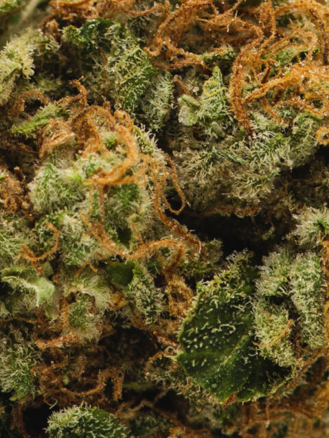 I-95 (AAA) – Balanced Hybrid