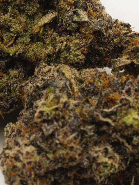 Super Nova (AAAA+) – Indica - Limited Edition