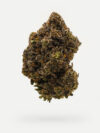 Super Nova (AAAA+) – Indica - Limited Edition