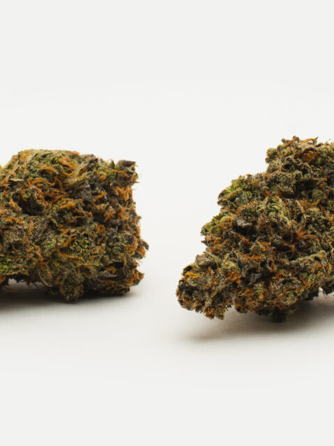 Pink Sherbet (AAAA) – Indica Dominant Hybrid
