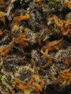 Pink Sherbet (AAAA) – Indica Dominant Hybrid