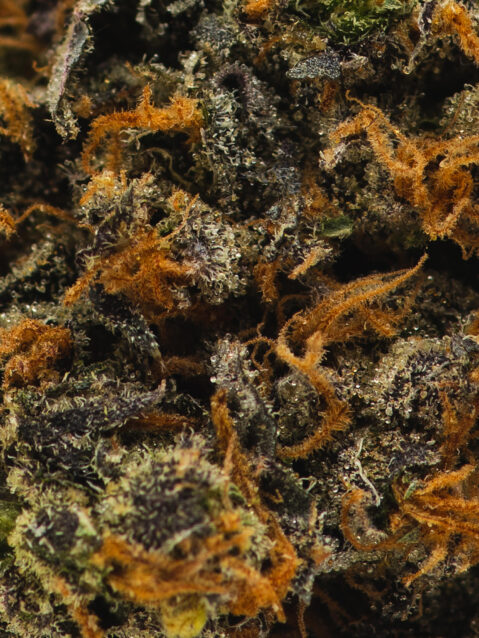 Pink Sherbet (AAAA) – Indica Dominant Hybrid