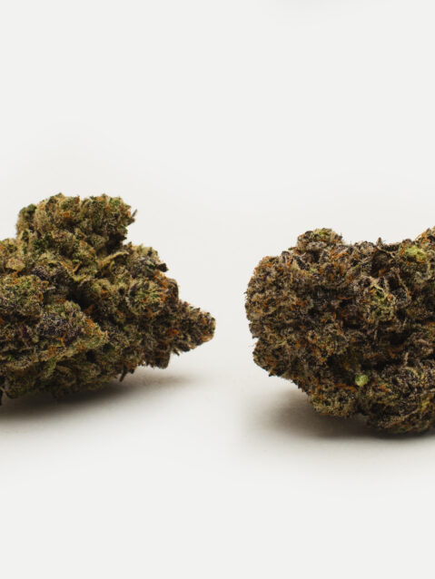 Super Nova (AAAA+) – Indica - Limited Edition