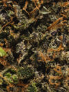 Zombie OG (AAAA) – Indica