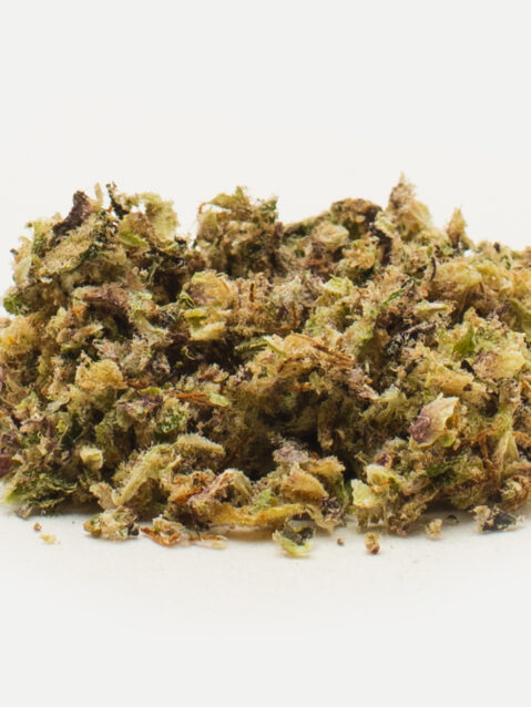 Zombie OG (AAAA) – Indica