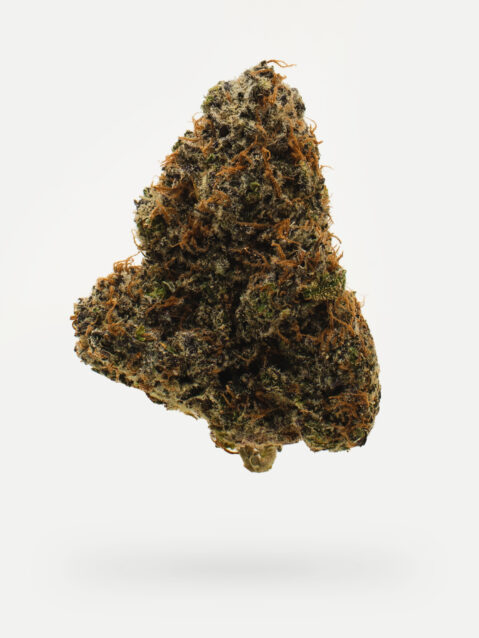 Zombie OG (AAAA) – Indica