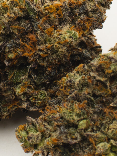 Banana Cream Truffles (AAAA) – Indica Dominant Hybrid