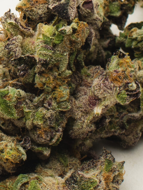 Animal Sorbet (AAA+) - Indica Dominant Hybrid - One Ounce Bag