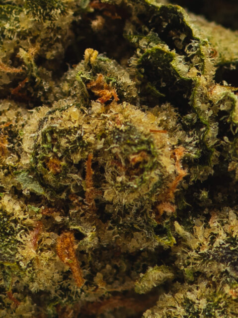 White Berry (AAA) - Indica Dominant Hybrid - One Ounce Bag