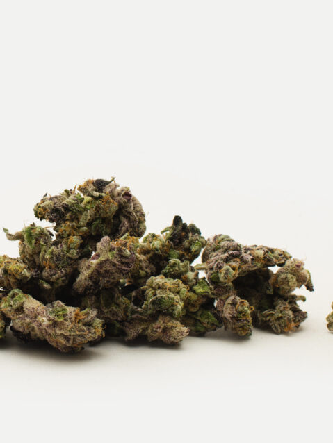 Animal Sorbet (AAA+) - Indica Dominant Hybrid - One Ounce Bag