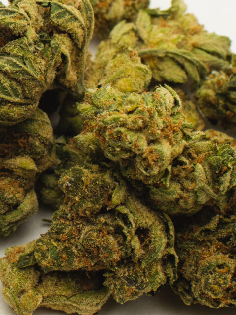 White Berry (AAA) - Indica Dominant Hybrid - One Ounce Bag