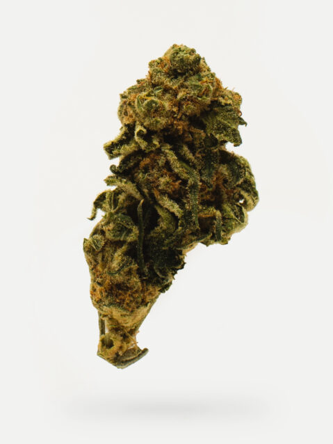 White Berry (AAA) - Indica Dominant Hybrid - One Ounce Bag