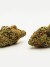 Frosted Cherry Cookies (AAAA) – Indica Dominant Hybrid
