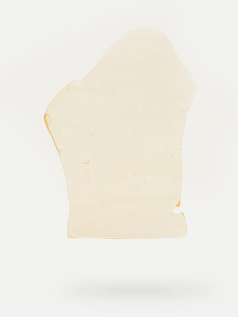 Black Tuna Shatter - 1g - Balanced Hybrid