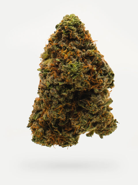 Frosted Cherry Cookies (AAAA) – Indica Dominant Hybrid