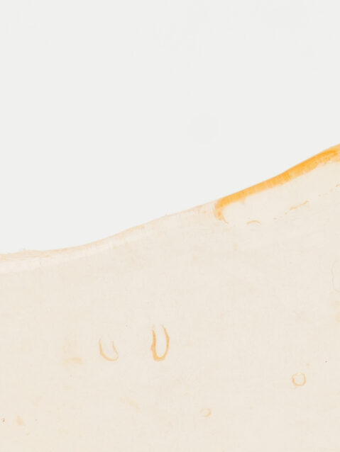 Black Tuna Shatter - 1g - Balanced Hybrid