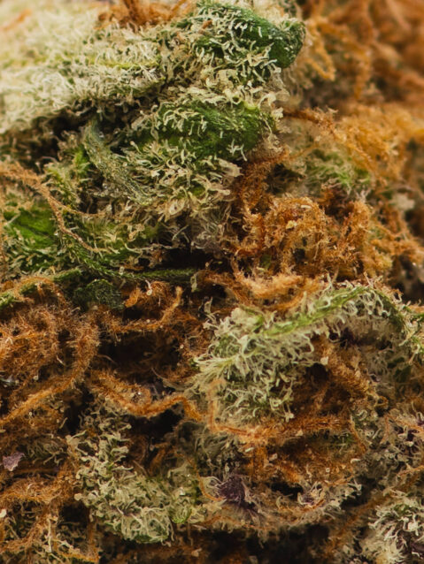 Sophie's Breath (AAA+) | One Ounce Bag