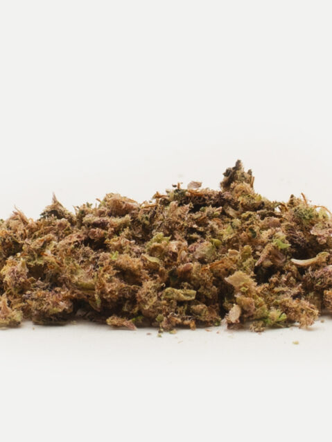 Purple Unicorn (AAA+)