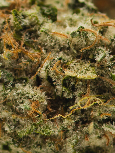 Zack's Pie (AAA+) - Indica Dominant Hybrid - One Ounce Bag