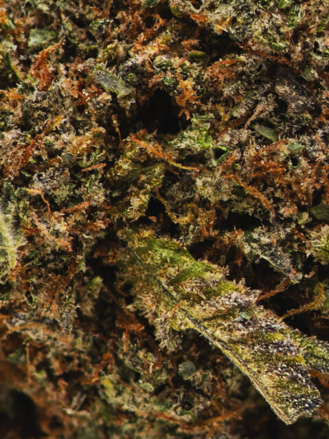 Strawberry Kush (AAAA)