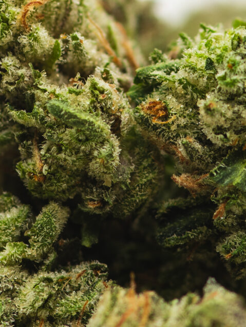 Pink Bubba (AAA+) - Indica Dominant Hybrid - One Ounce Bag