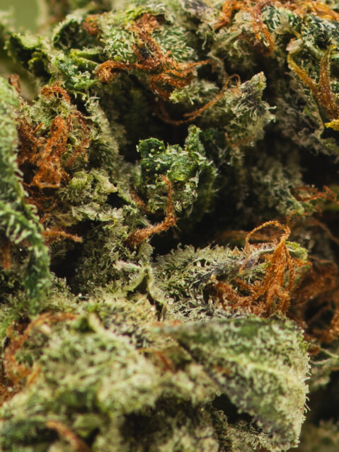 MK Ultra AAA+ | One Ounce Bag