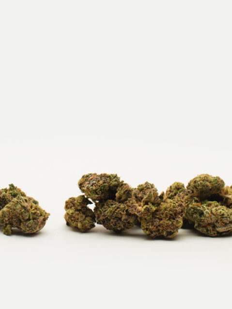weed Timewarp – Next Generation Seeds