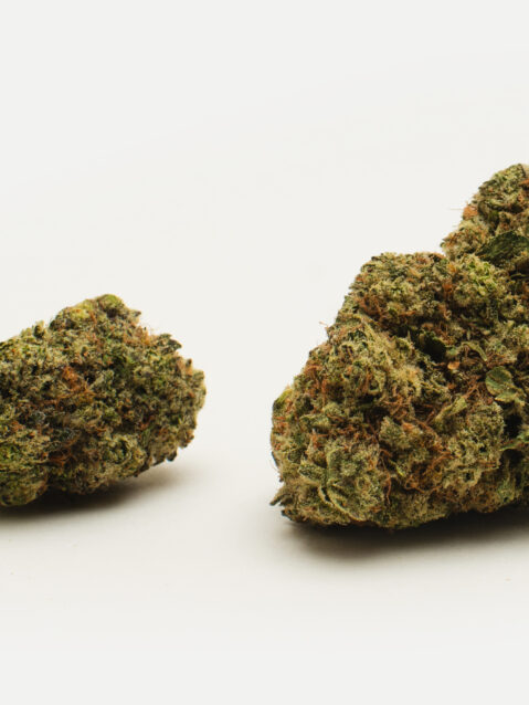 Grease Monkey (AAAA)