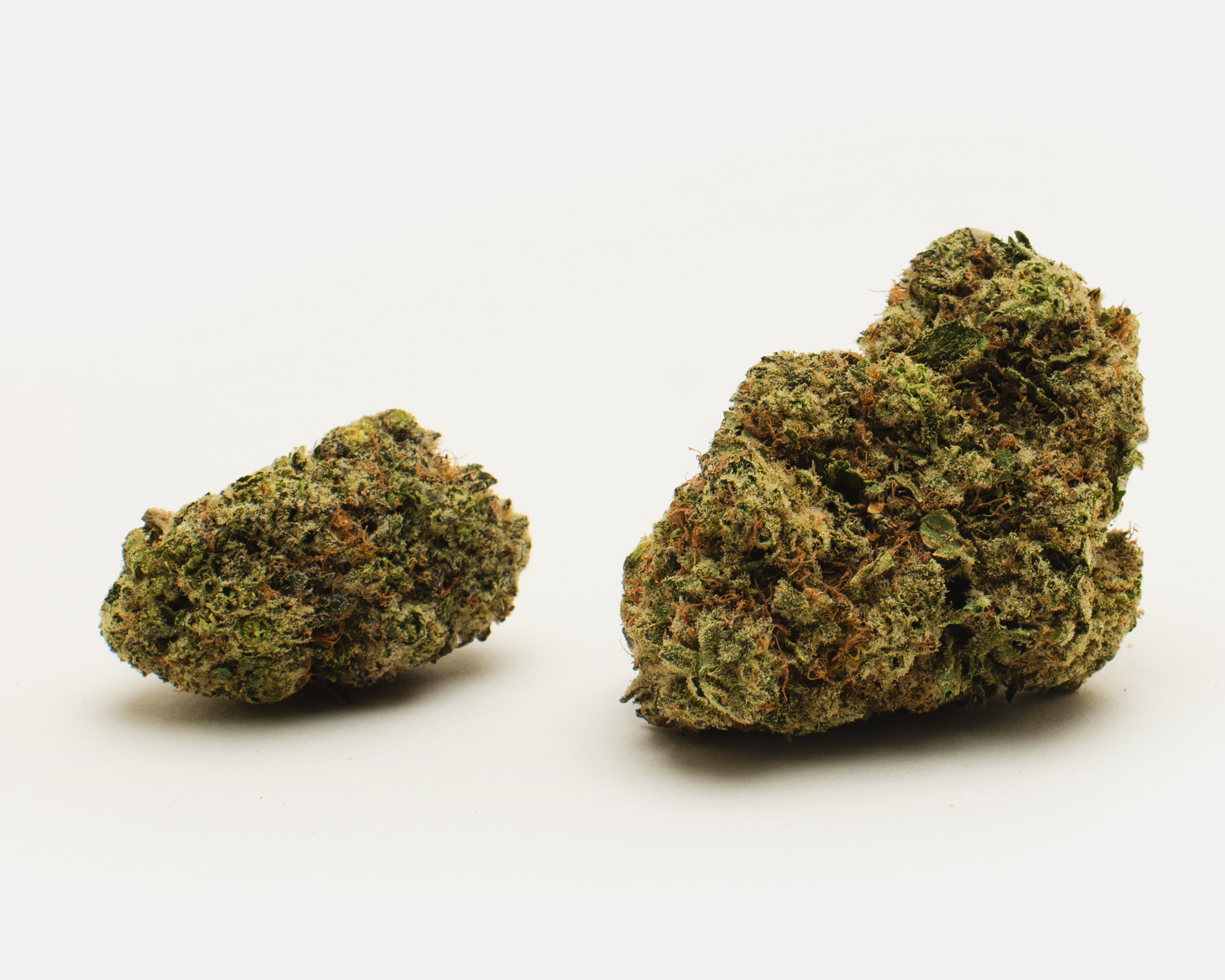 02E56997 B0BE 4171 B9B5 19865AA7D7C8