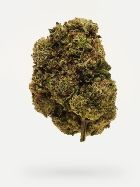 Grease Monkey (AAAA)