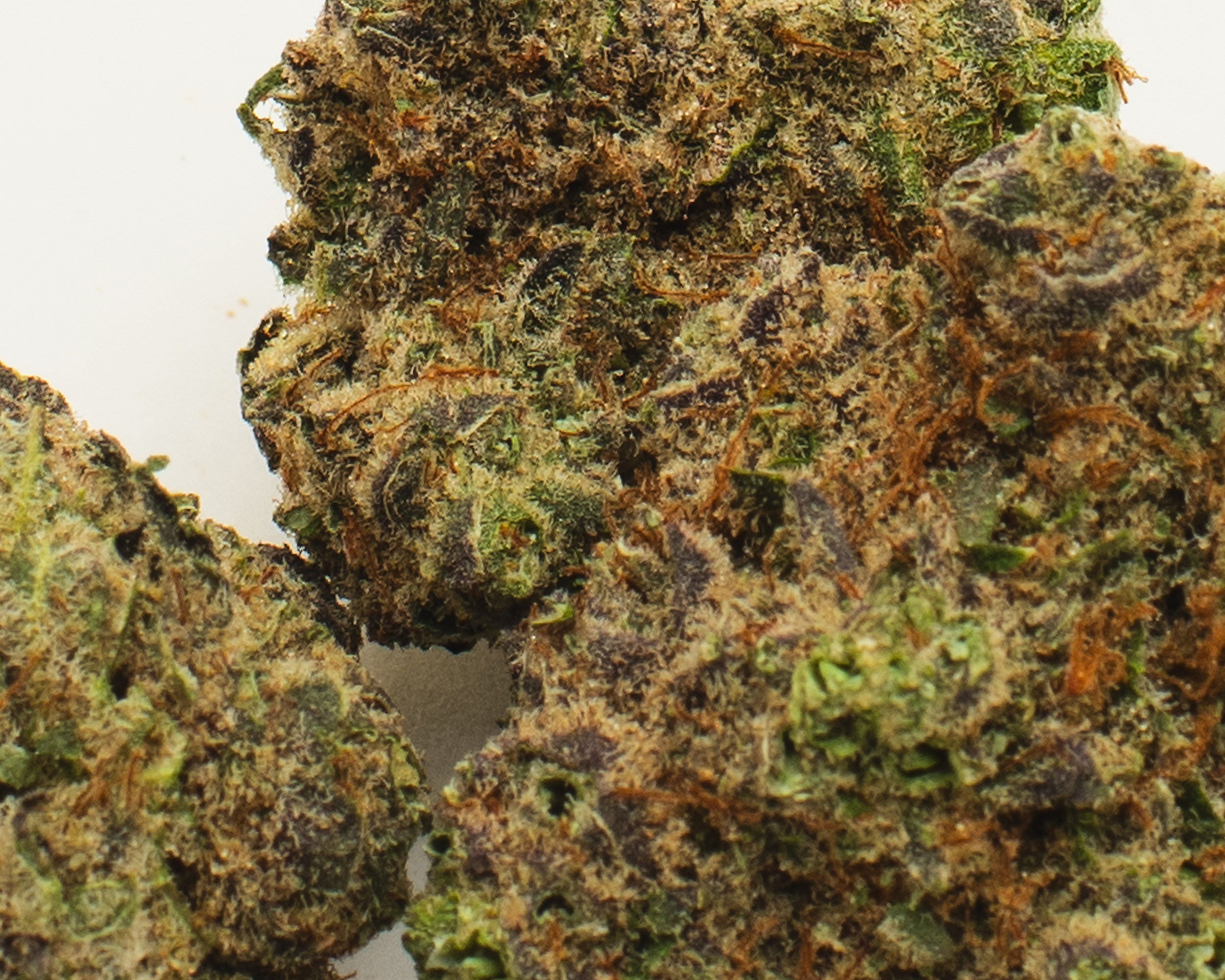 334C97ED 4DDF 4389 88FD BEC5E63AD574