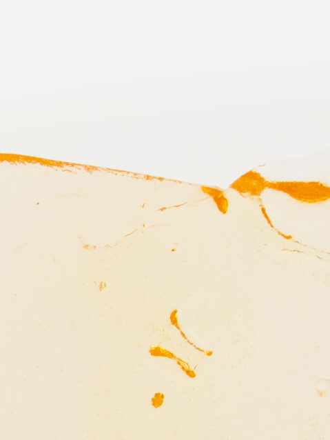 Gods Prime Glue Shatter - 1g