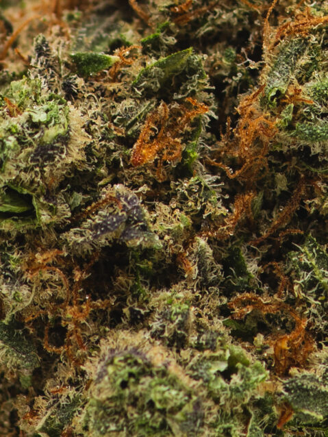 Pineapple Haze (AAAA)