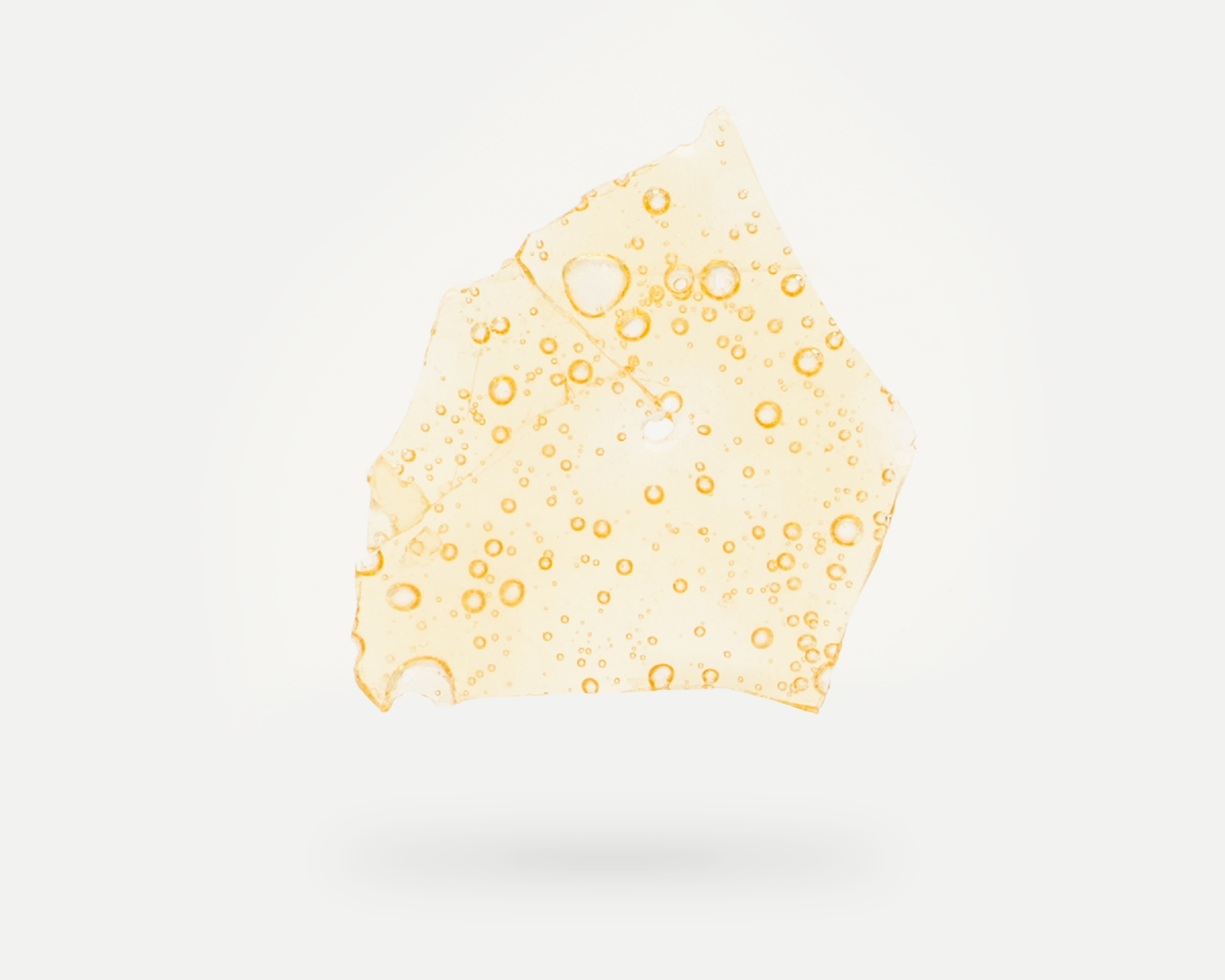 81E9D473 0B86 44EF 8FCB 057782C0ACCA