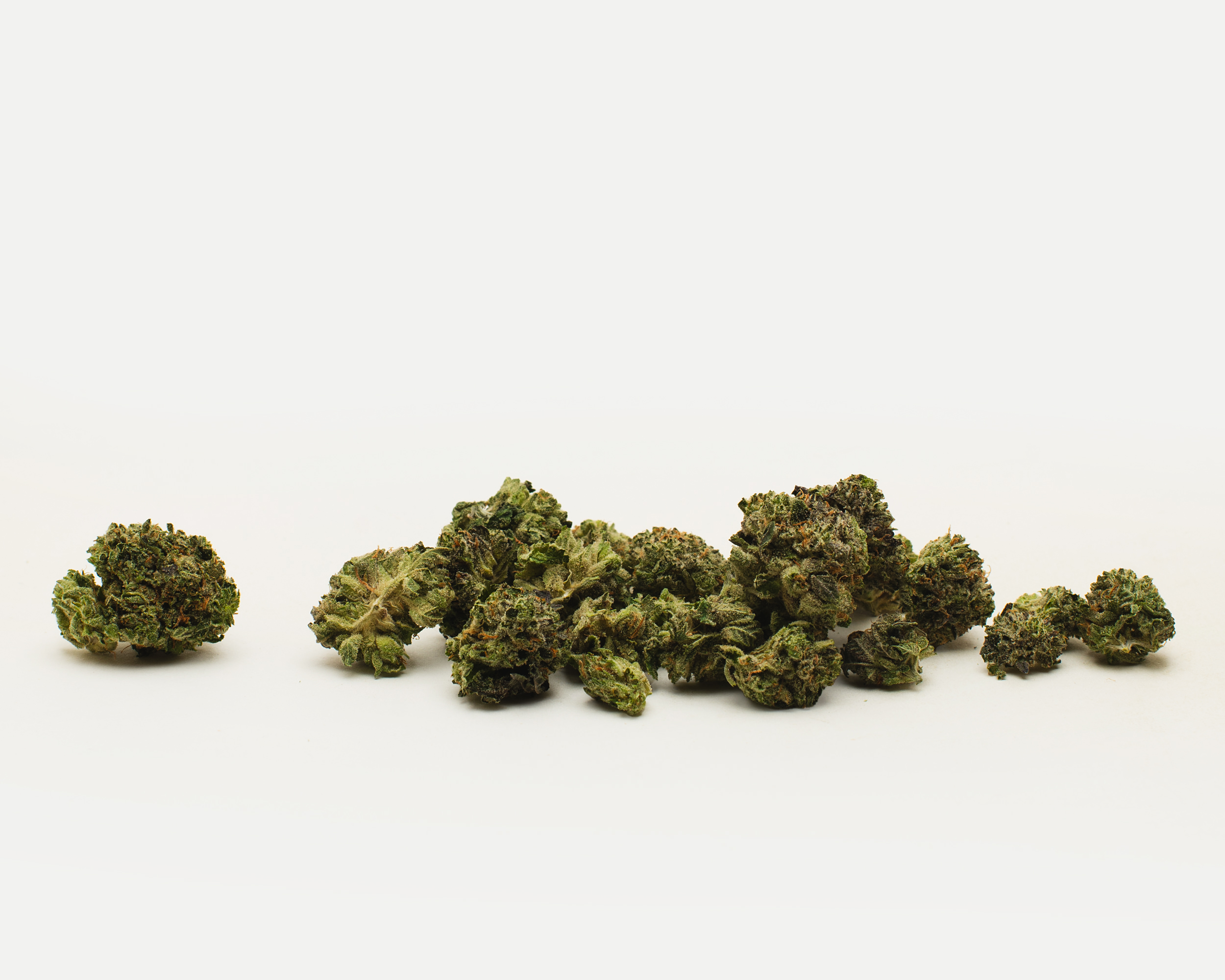 1C7F7DAB 84A5 4622 8419 5C6DB6045883