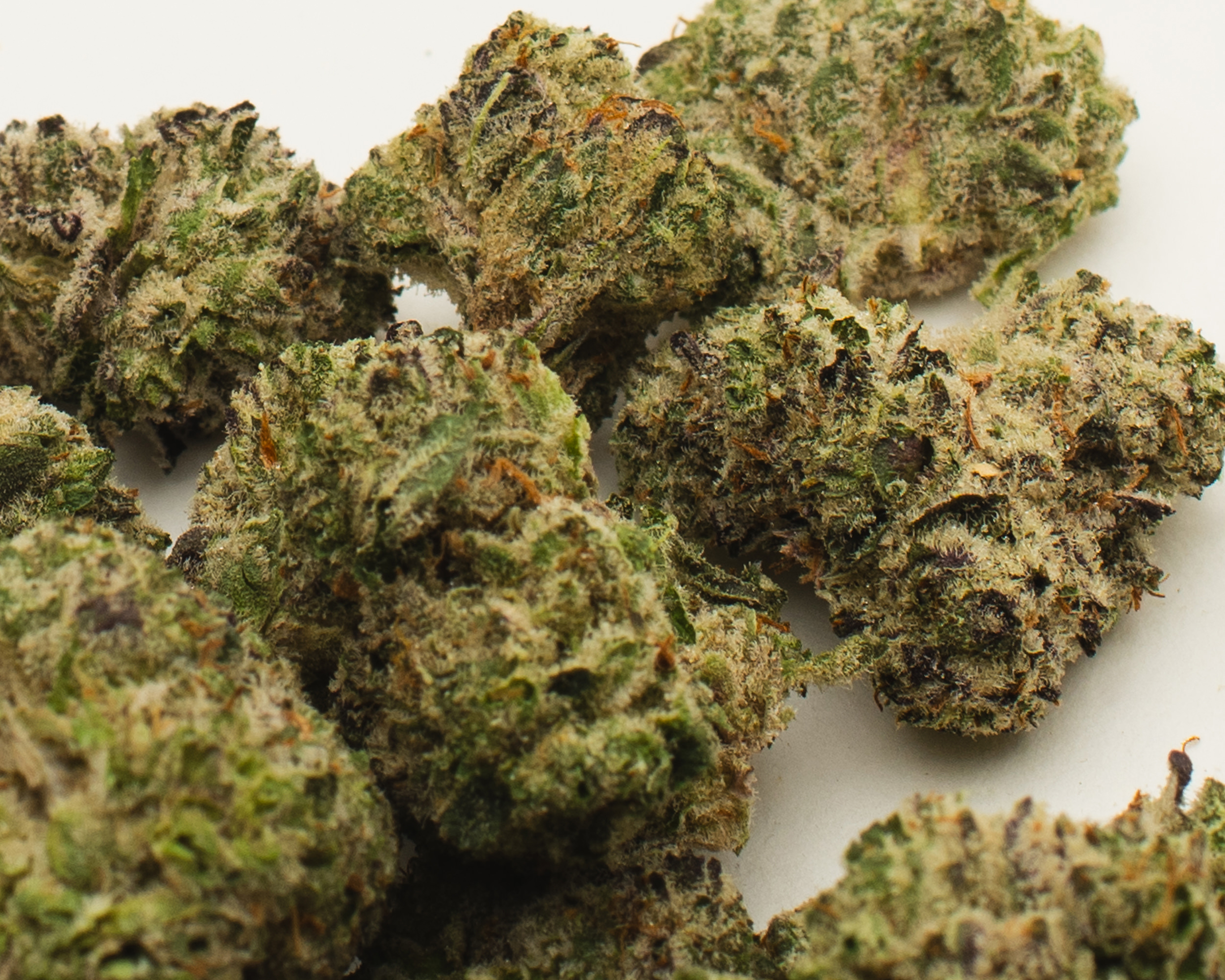 1F9F5415 6BB3 4E3D A167 253C6268EAEB