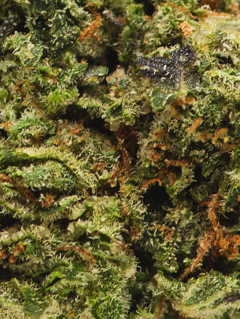 Pink Sorbet AAA+ |  One Ounce Bag