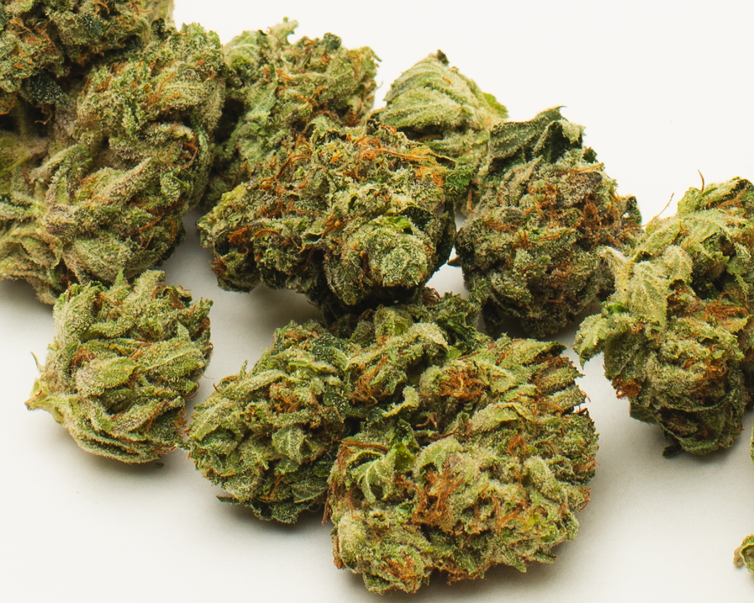 80CFE143 B737 4113 B44B 31292904FA49