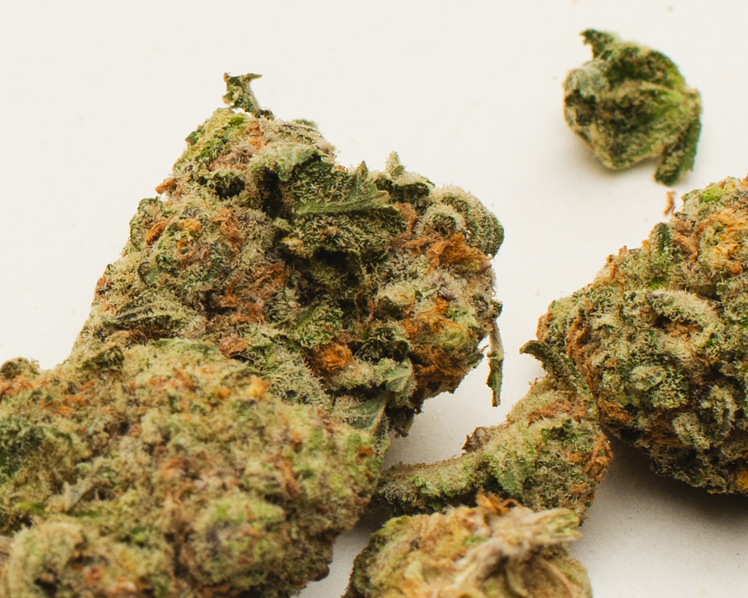 9DAB27E9 5AF9 4543 9C41 874E36FA3603