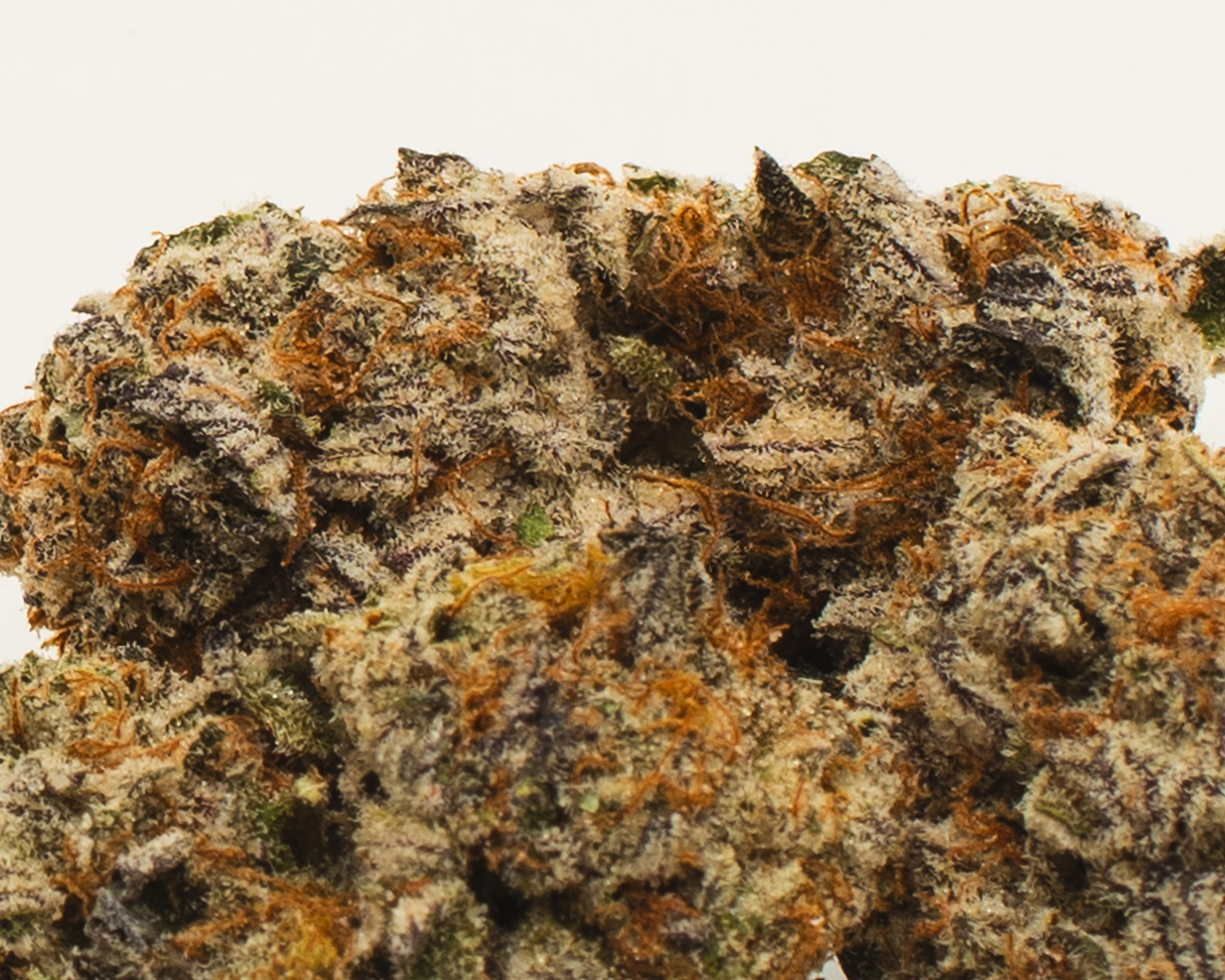 CE7552E7 3F4E 4FD7 AF00 043485B33C93