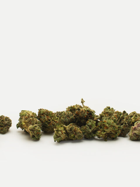 Gary Payton AAA+ | One Ounce Bag