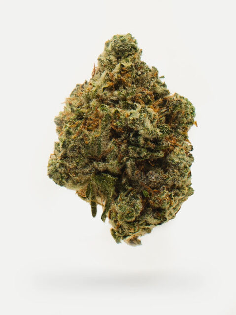 Gary Payton AAA+ | One Ounce Bag