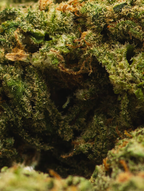 Girl Scout Pebbles AAA+ | One Ounce Bag