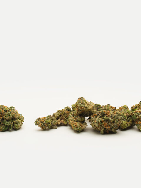 Scotti Pippen AAA+ | One Ounce Bag